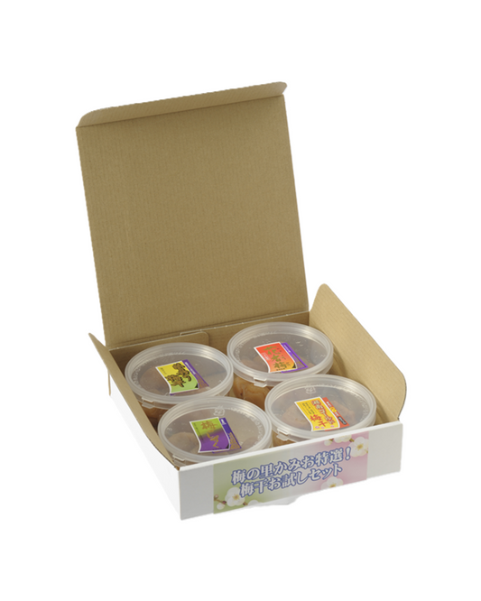 選べるお試しセット