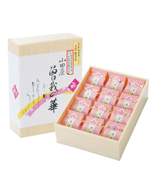 曽我の華 12個入