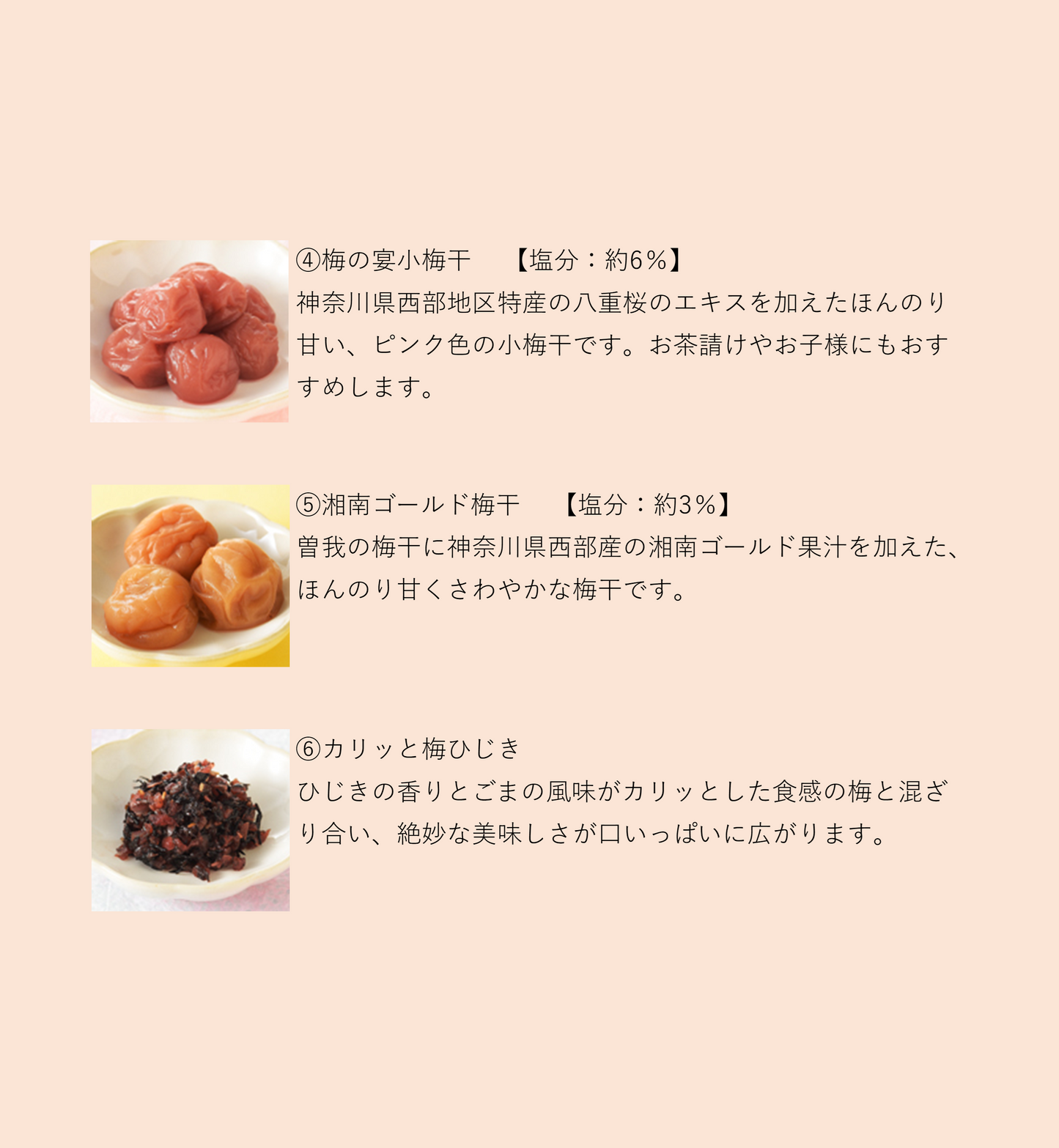 選べるお試しセット