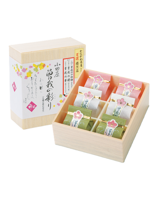 曽我の彩り 6個入