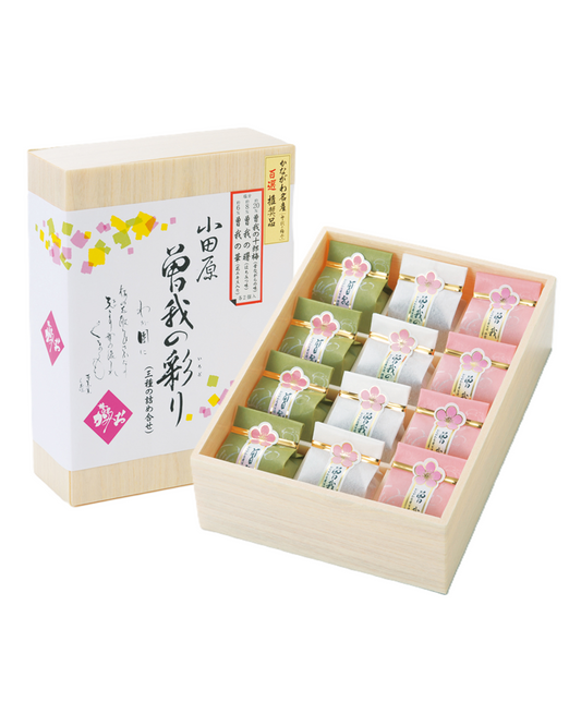 曽我の彩り 12個入