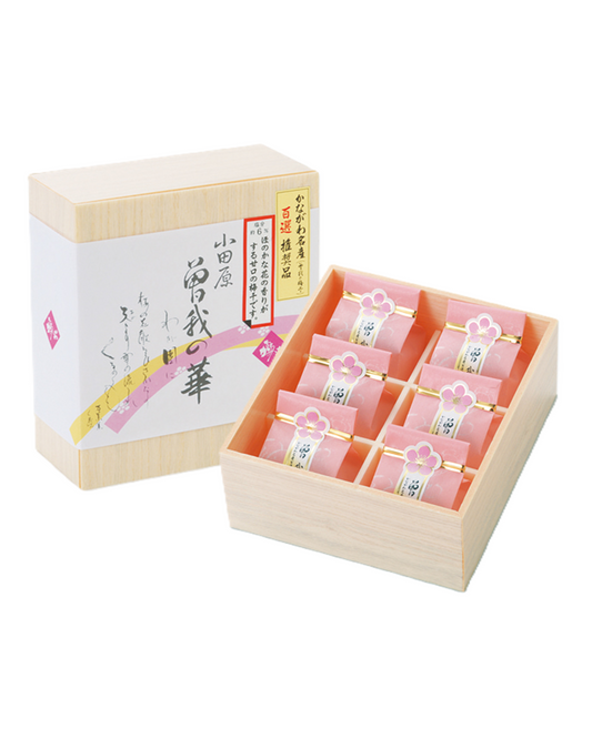 曽我の華　6個入