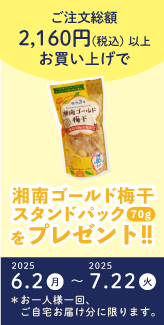 のキャンペーン